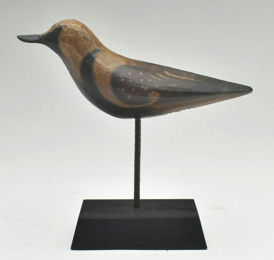 Pete Peterson – Ruddy Turnstone – 2023