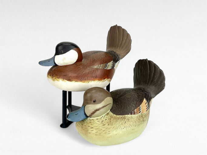 Norm Jones — Ruddy Duck Pair