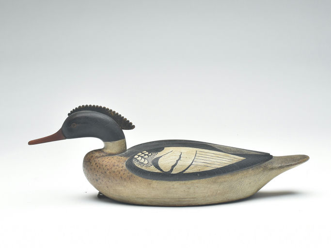 Mark McNair – Oversized Merganser – 2023