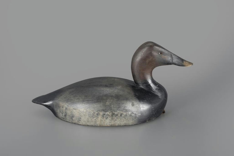 Thomas Chambers – Canvasback – 2025