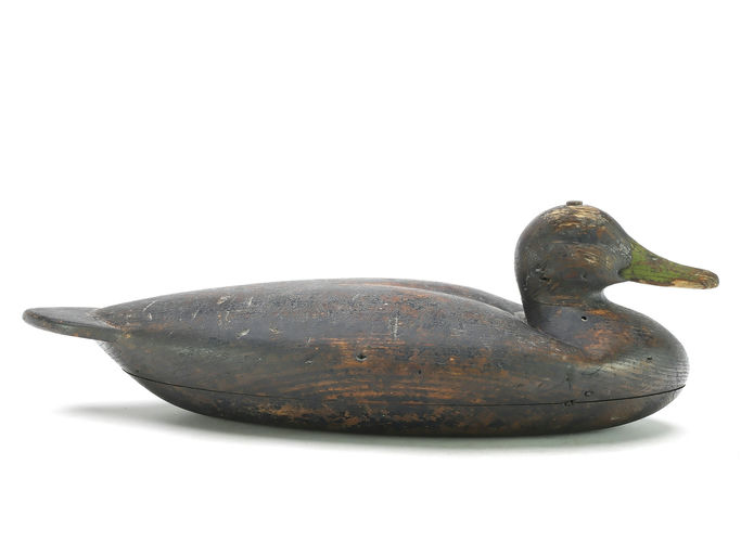 Albert Laing – Black Duck – 2025