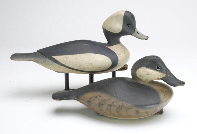 Pete Peterson – Pair of Bufflehead – 2023