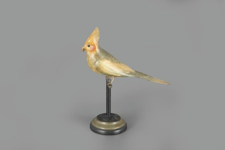 Frank Finney – Cockatoo on Perch – 2024
