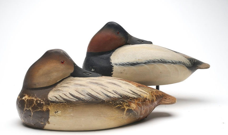 Ward Brothers – Pair of Canvasback – 2026
