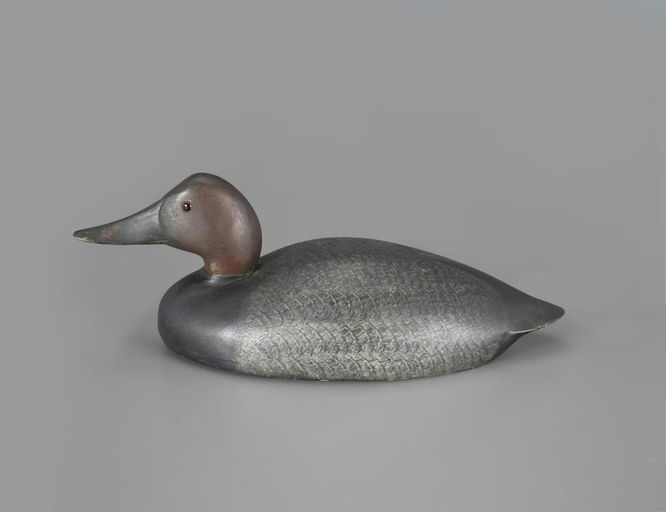 John R. Wells – Canvasback Drake – 2024