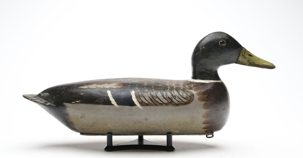 Bert Graves – Mallard – 2025