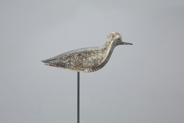 George Boyd – Black-Bellied Plover – 2023