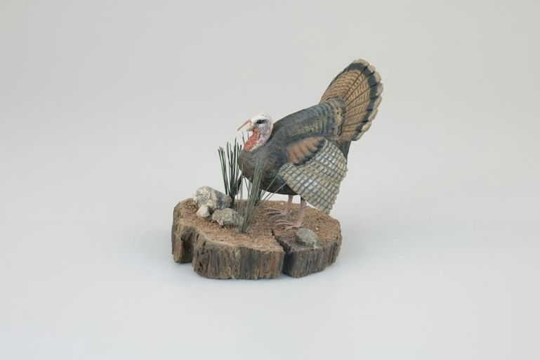 Stan Sparre – Miniature Turkey – 2026