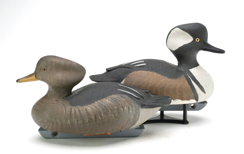 Marv Meyer – Hooded Merganser – 2025