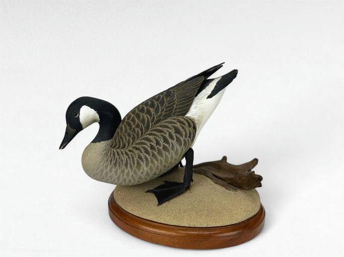Oliver Lawson – Miniature Canada Goose – 2024