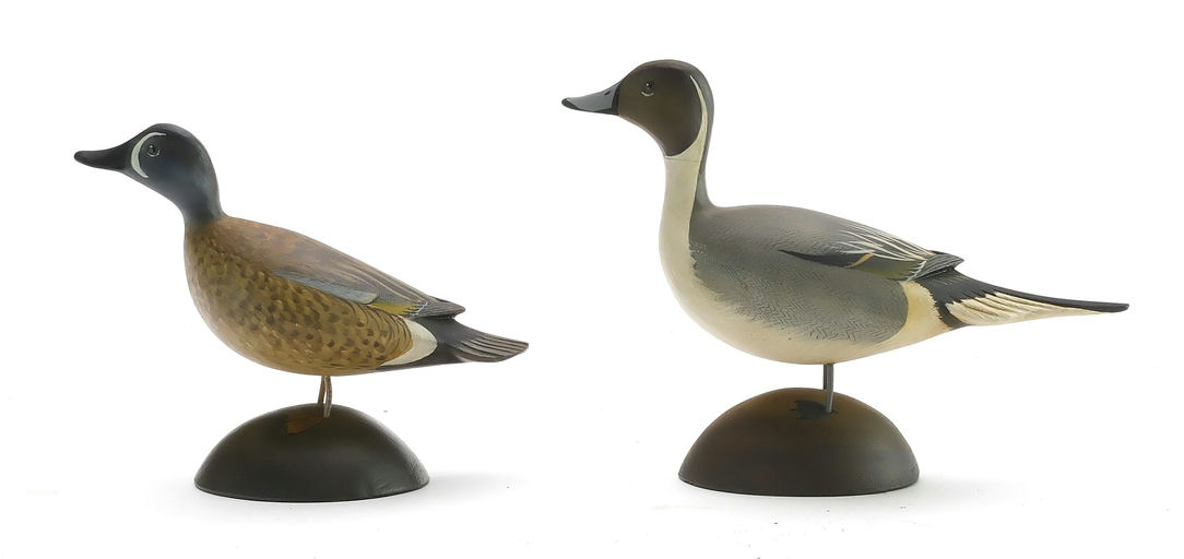 George Strunk – Pintail – 2024
