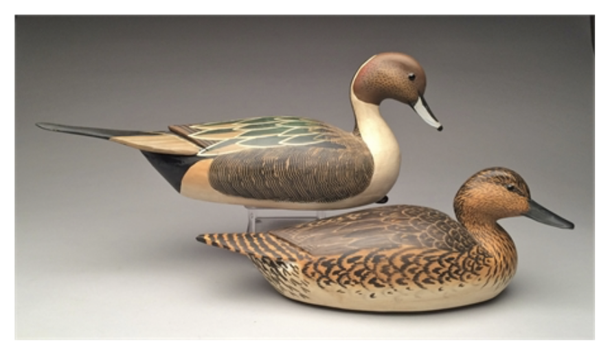 Grayson Chesser – Excellent Pair of Pintails – 2017