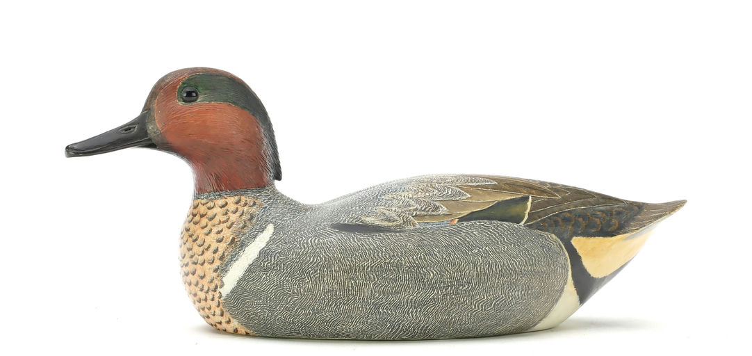 Cigar Daisey – Green-winged Teal – 2025
