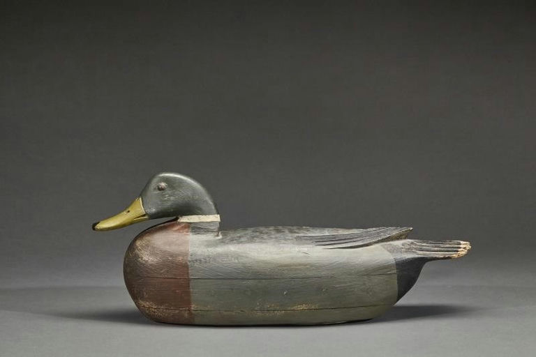 Tom Fitzpatrick – Mallard Drake – 2017