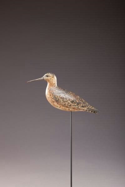 Charles Sumner Bunn – Dowitcher – 2013