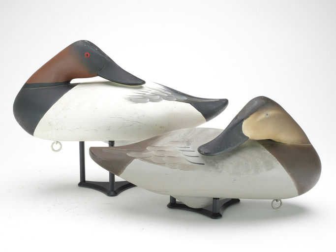 Charlie Joiner – Pair of Canvasbacks – 2023