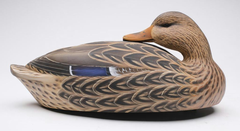 Michael Braun – Mallard Hen – 2024