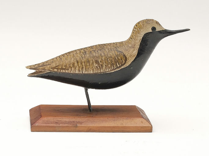 George Boyd – Black Bellied Plover – 2023