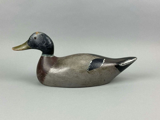 Evans Decoy Company – Mallard Drake – 2026