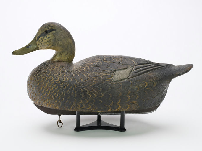 Ben Schmidt – Black Duck – 2024