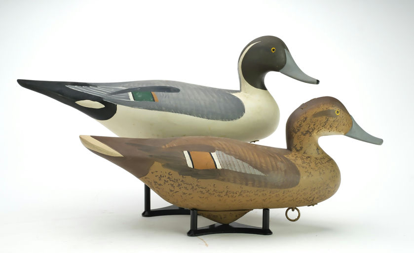 R. Madison Mitchell – Pair of Pintail – 2025