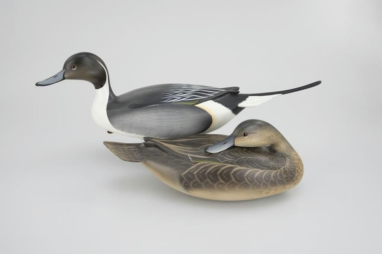 George Strunk – Outstanding Pintail Pair – 2026