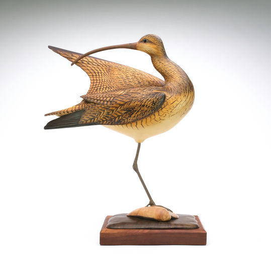 Bill Gibian – Preening Curlew – 2025