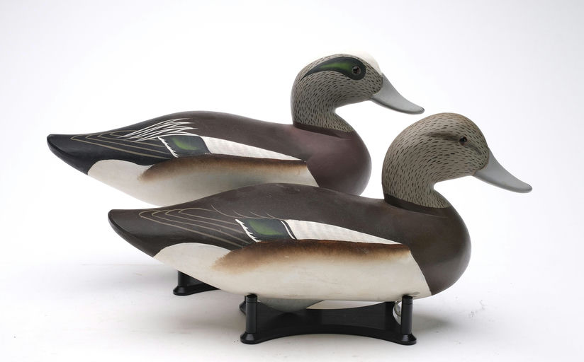 Charlie Joiner – Pair of Wigeon – 2026