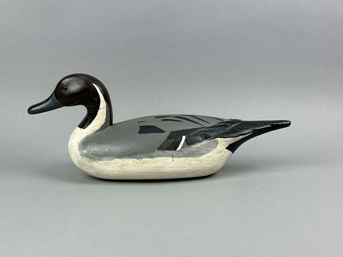 Richard Janson – Pintail Drake – 2026