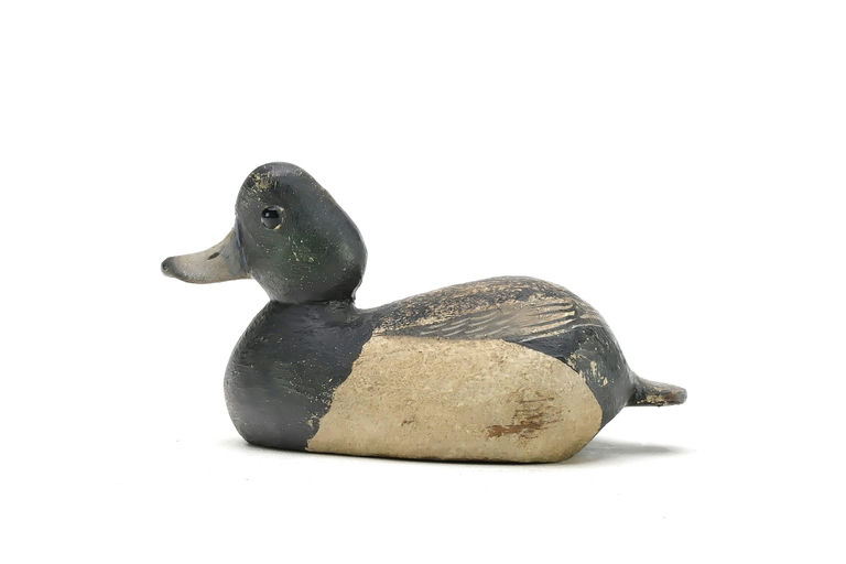 Reggie Birch – Scaup – 2025