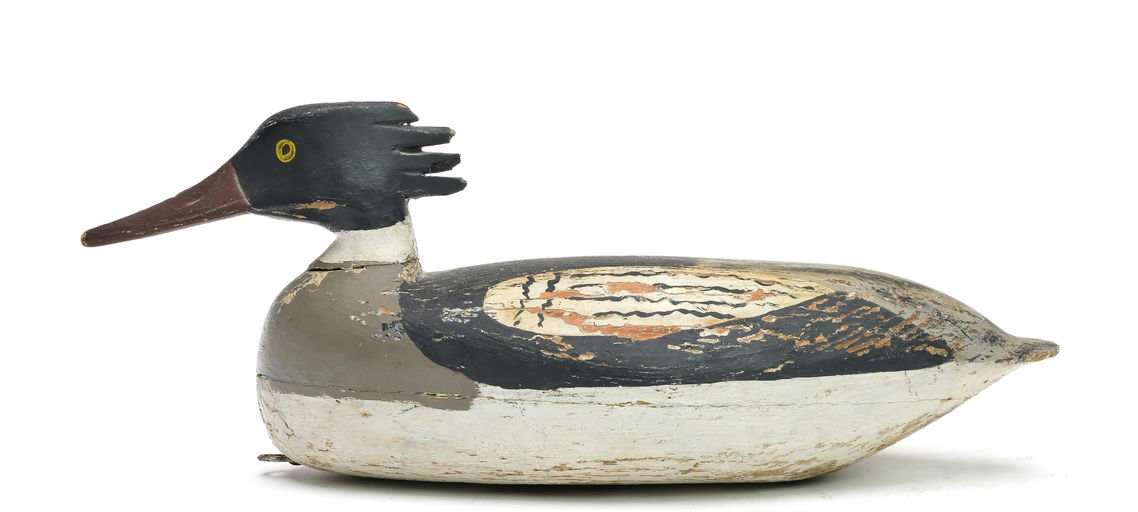 Doug Jester – Merganser – 2025