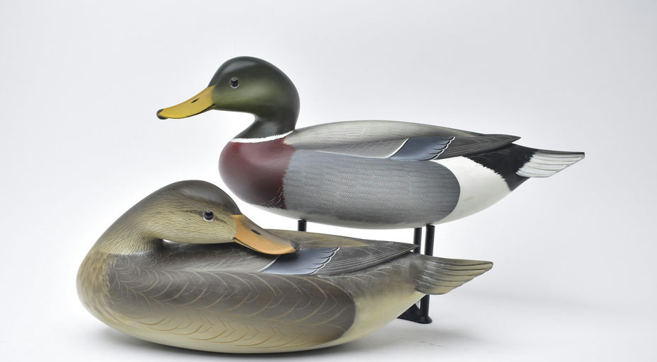 George Strunk – Pair of Mallard – 2025