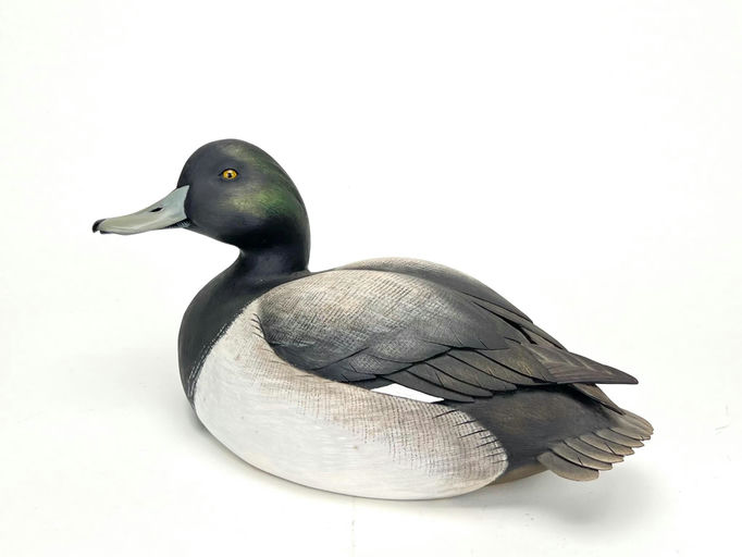 Jim Schmiedlin – Bluebill Drake – 2024