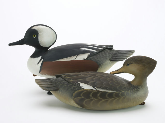 George Strunk – Pair of Hooded Merganser – 2024