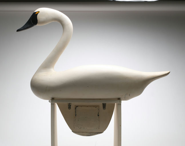 R. Madison Mitchell – Swan – 2026