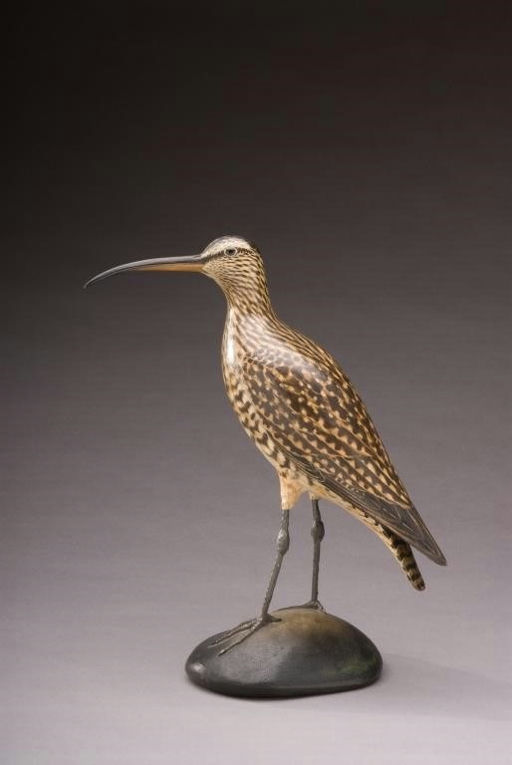 Elmer Crowell – Hudsonian Curlew – 2010