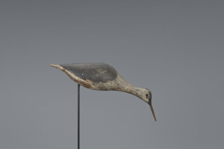 Thomas Gelston – Running Yellowlegs – 2019