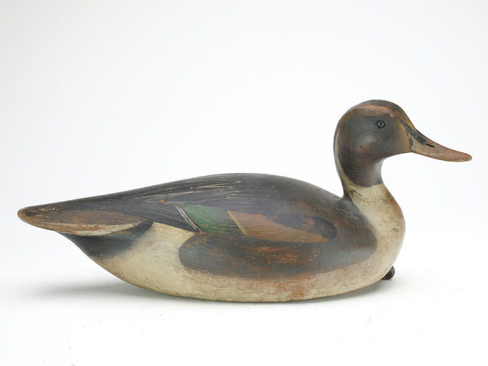 Ward Brothers – Pintail – 2023