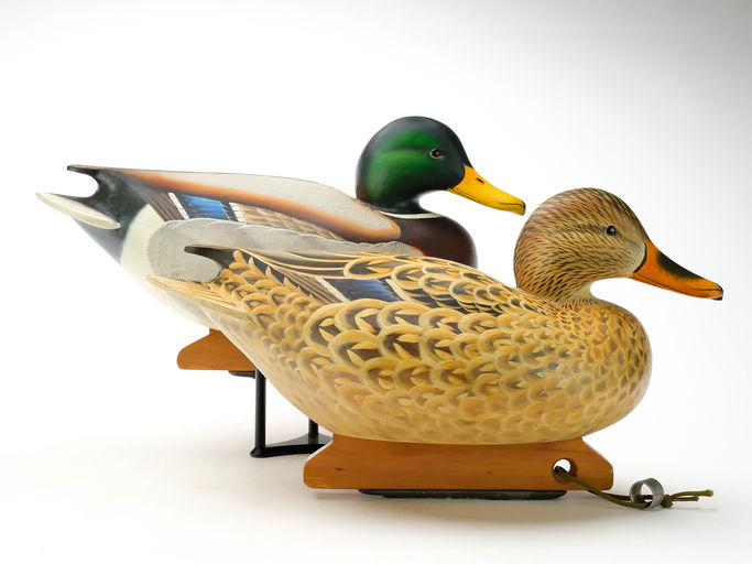 Ben A. Heinemann – Mallard – 2025