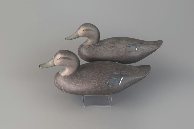 R. Madison Mitchell – Black Duck Pair – 2026