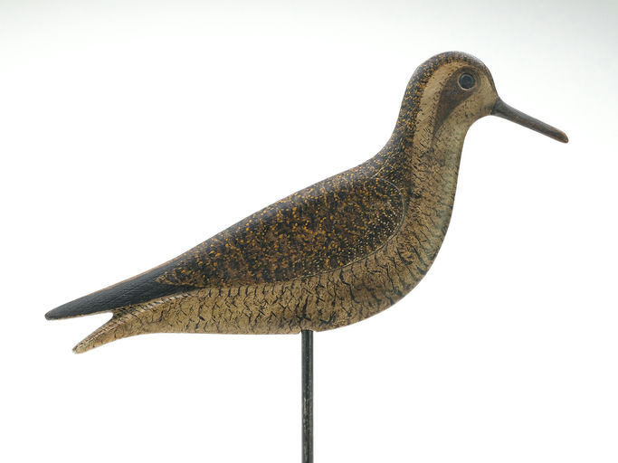 Mark McNair – Golden Plover – 2025