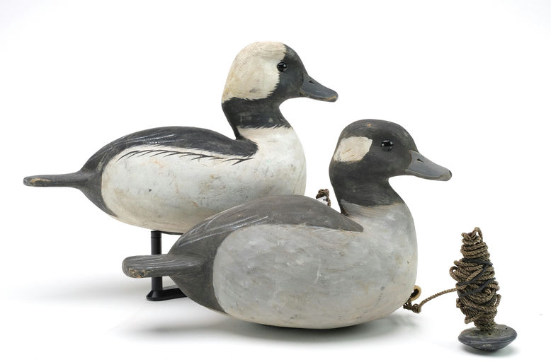 Reggie Birch – Bufflehead – 2024