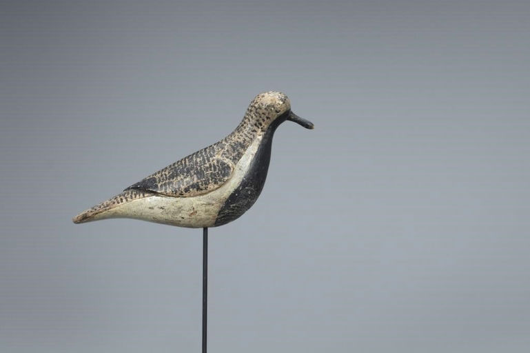 Verity Family – Black-Bellied Plover – 2020