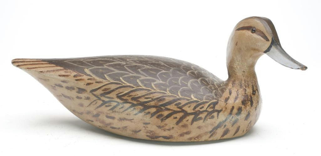Ward Brothers – Pintail – 2023