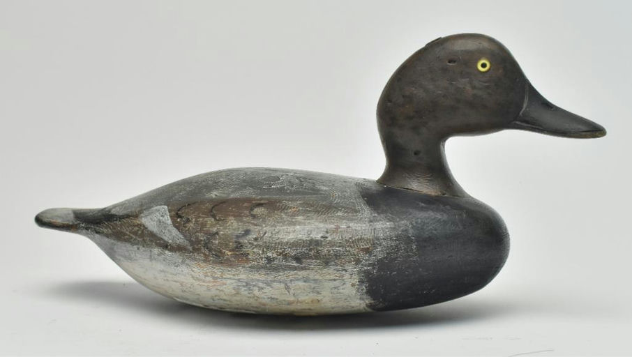 Harvey Stevens – Gadwall – 2023
