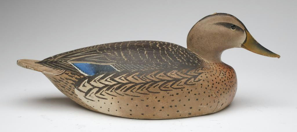 Ward Brothers – Mallard – 2023
