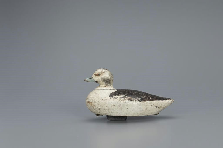 William Minor – Long-Tailed Hen – 2019