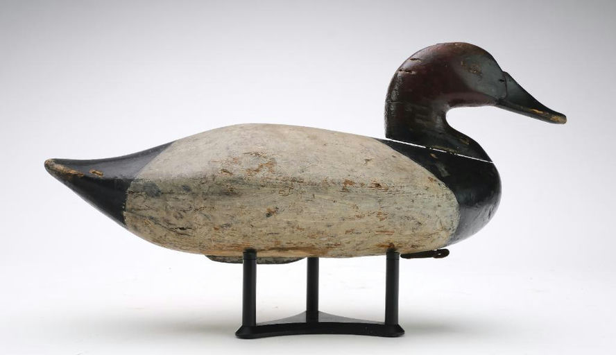John Daddy Holly – Canvasback – 2024