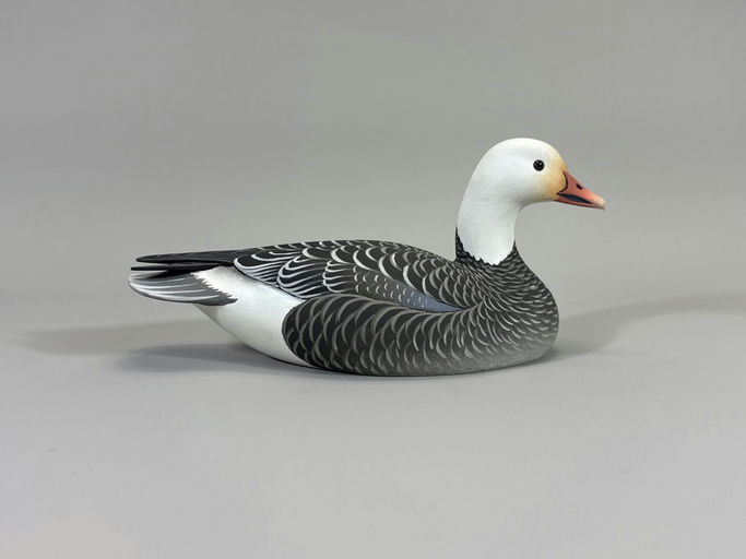 Oliver Lawson – Blue Goose – 2026