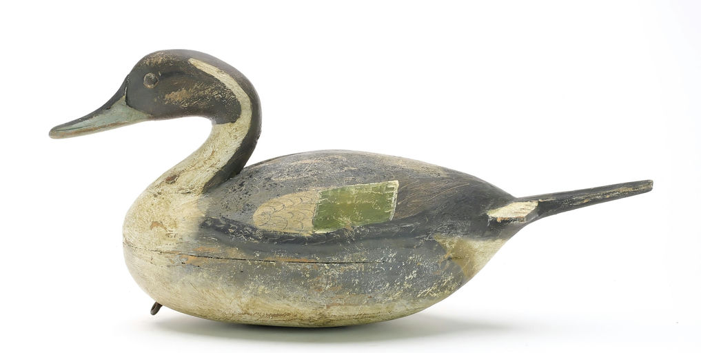 Reggie Birch – Pintail – 2024